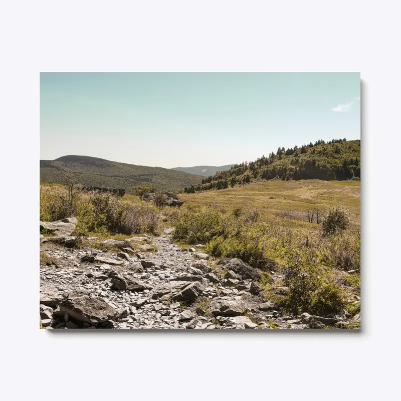 Rocky Mountainside