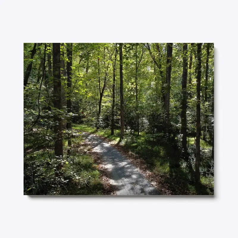 Wooded trail